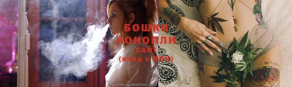 гашик Заводоуковск