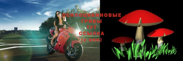 ECSTASY Зеленокумск