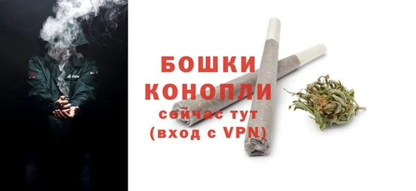 PSILOCYBIN Зеленодольск