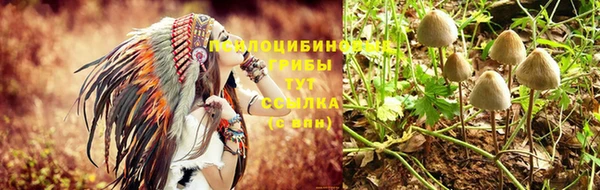 мескалин Зерноград