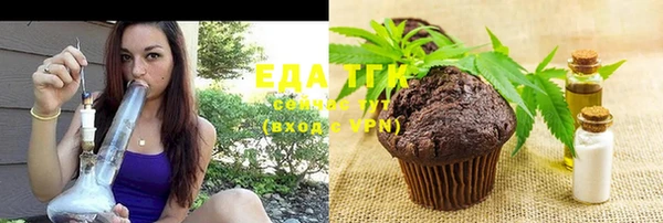 гашик Заводоуковск
